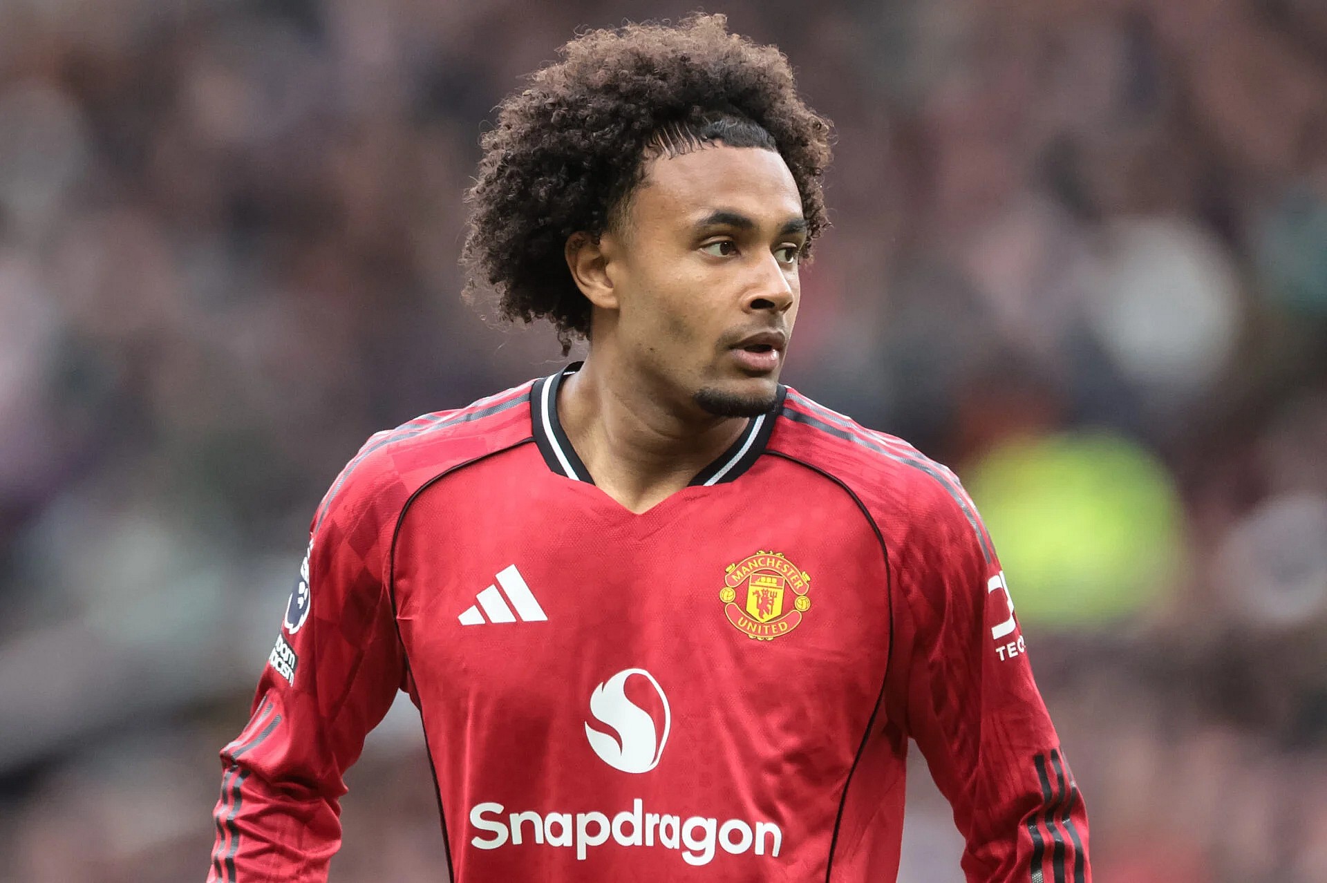 Premier League striker shortage means Man United should pounce on Joshua Zirkzee sale