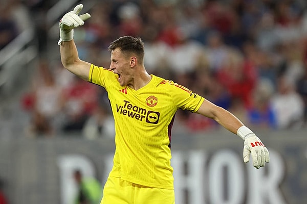 Radek Vitek
