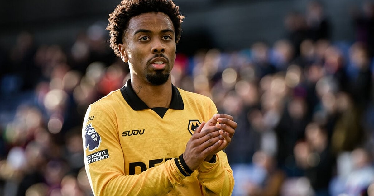 Wolves fans, your immediate thoughts on Andre signing a new contract with Wolves?!