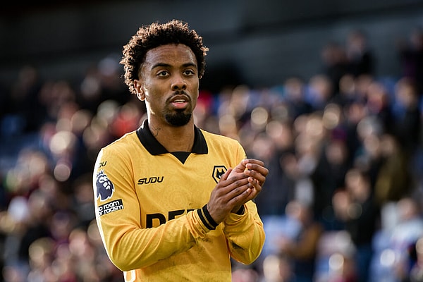Wolves transfers
