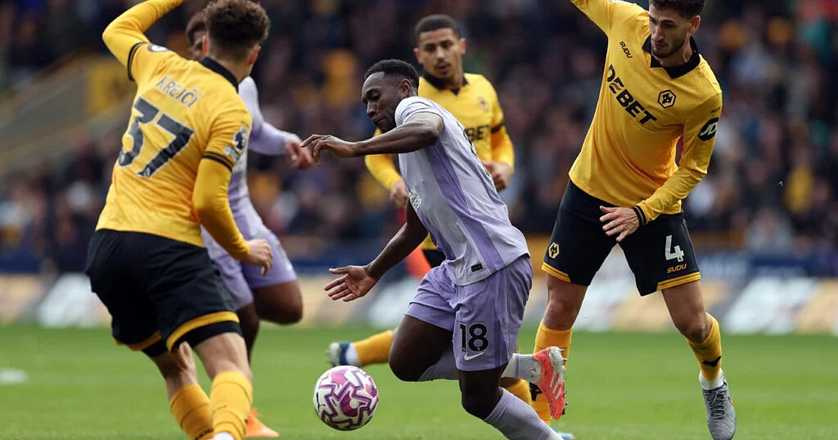 Wolves vs Brighton