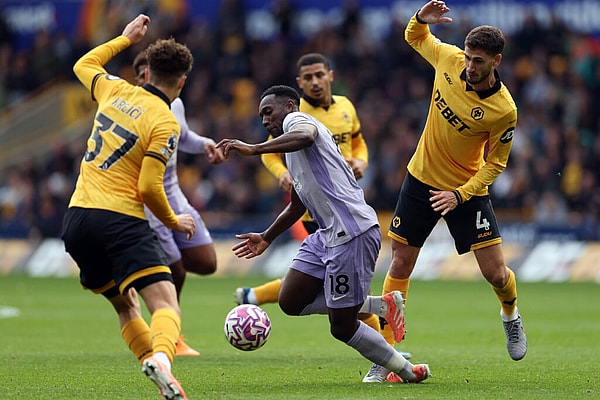 Wolves vs Brighton